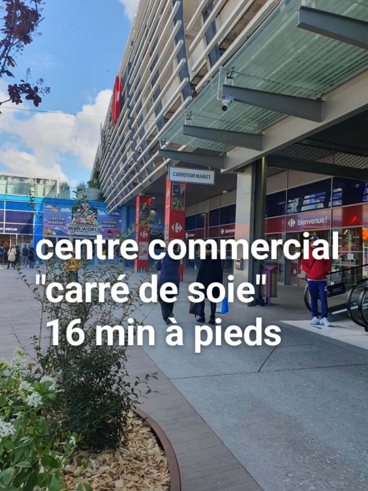 Medipole T2 Avec Un Garage Gratuit Sur Place, 16Min A Centre Ville Lyon En Metro A Villeurbanne Ngoại thất bức ảnh