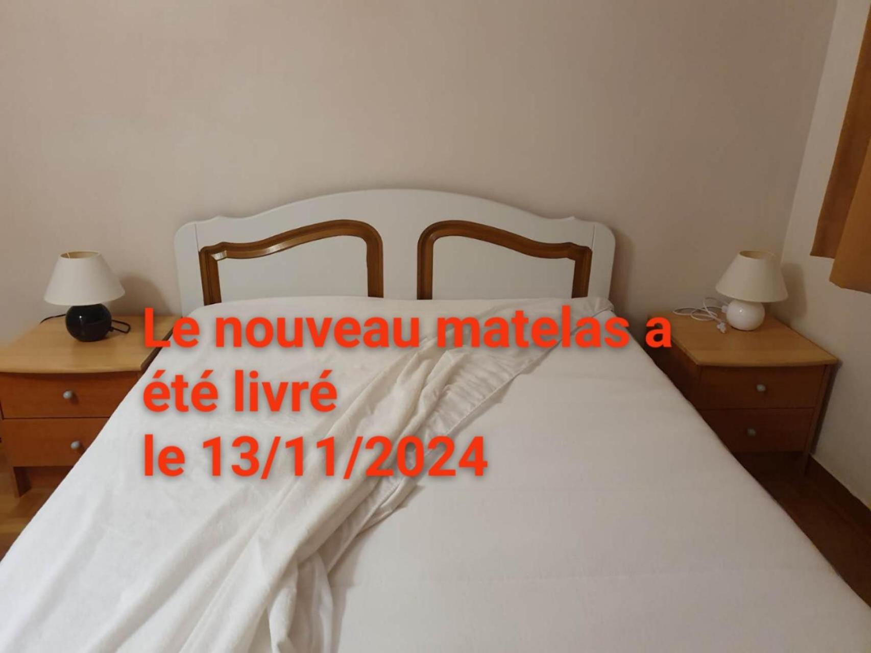 Medipole T2 Avec Un Garage Gratuit Sur Place, 16Min A Centre Ville Lyon En Metro A Villeurbanne Ngoại thất bức ảnh